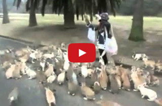 Woman Chased By Bunnies
