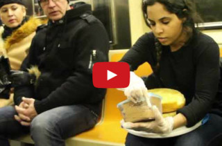 Woman Ices Cake & Serves Cake On Subway