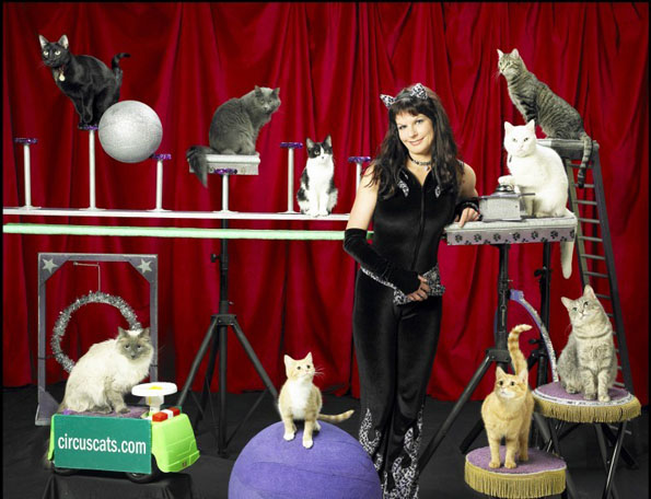 THERE IS A CAT CIRCUS IRL