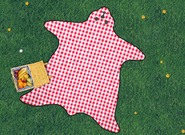 pretty picnic blanket