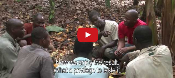Cocoa Farmers Taste Chocolate For The First Time Ever
