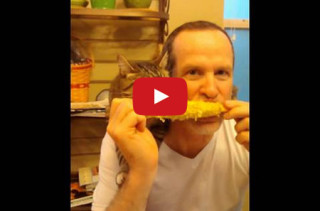 Cat & Human Eating Corn On The Cob Is An Absolute Delight