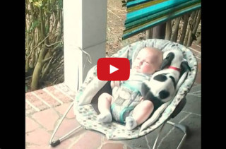 This Puppy Joins A Baby For A Nap & It’s Too Cute