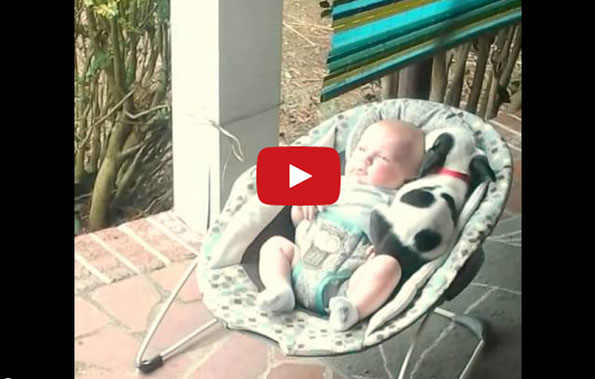 This Puppy Joins A Baby For A Nap & It’s Too Cute