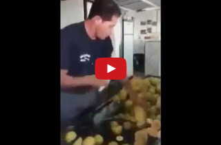 This Real Life Fruit Ninja Is Bad To The Ass!