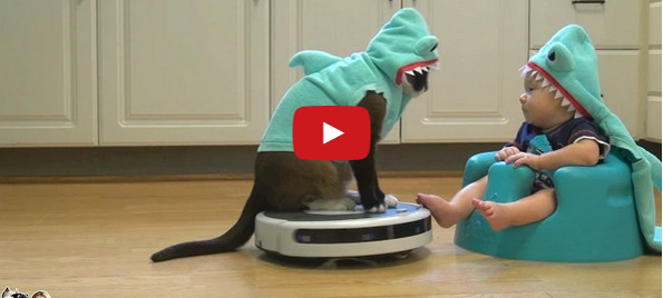 Cat+Baby+Roomba+Shark Costumes = Purrfection