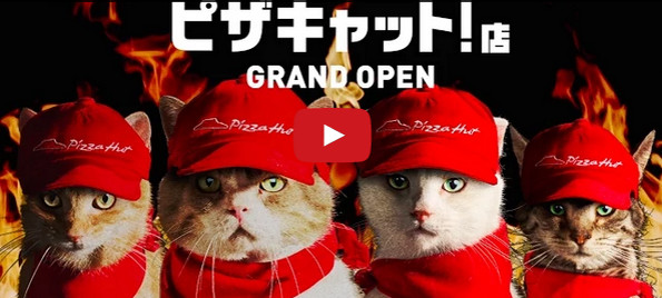 Cats Run A Pizza Hut In Japan, Absurdity Ensues
