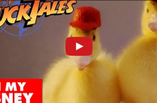 DuckTales Theme Song With Actual Ducks. YESSS!