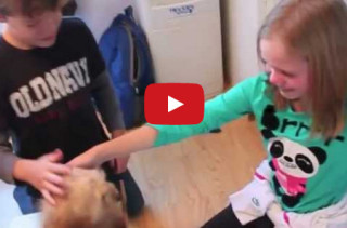 Parents Surprise Kids With A Puppy, Their Reaction Is Heartwarming