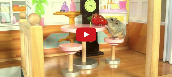 Tiny Hamster Has A Tiny Tiki Party & It Is Majorly Cute