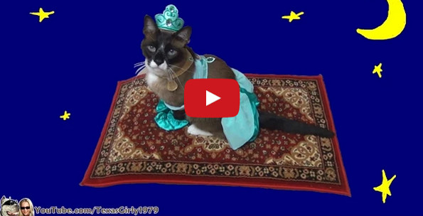 A Cat Dressed As Princess Jasmine, Riding A Magic Carpet