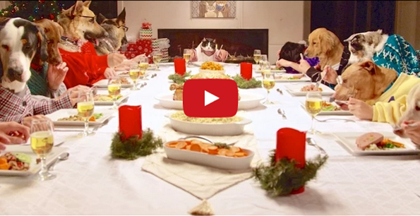 Some Dogs And A Cat With Human Arms Eat Christmas Feast