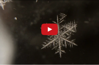 This Video Of A Snowflake Melting In Reverse Is Beautiful