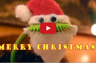 Just A Venus Flytrap Dressed As Santa And I Can’t Even