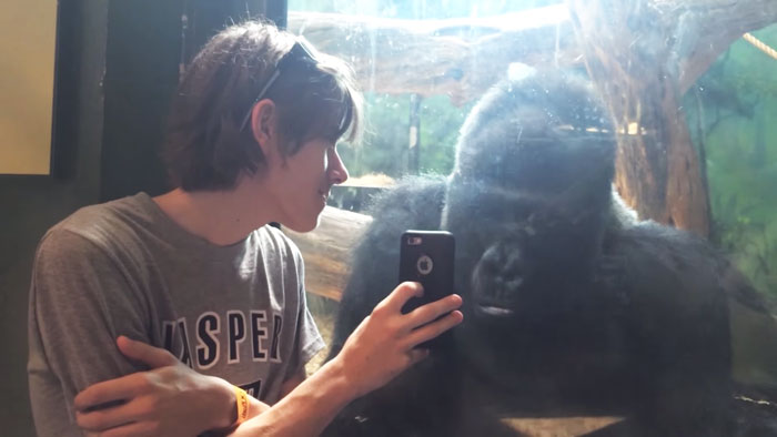 gorilla class amazon iphone x