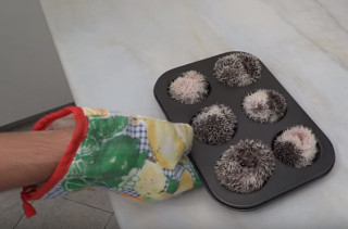 Hedgehogs In A Muffin Tin Is THE Cutest Thing You’ve Seen