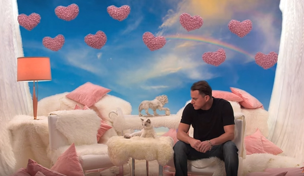 Watch Channing Tatum Says 8 Hateful Things To A Kitten