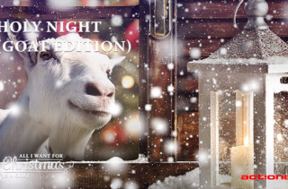 Goats Singing Christmas Carols Is The Reason For The Season