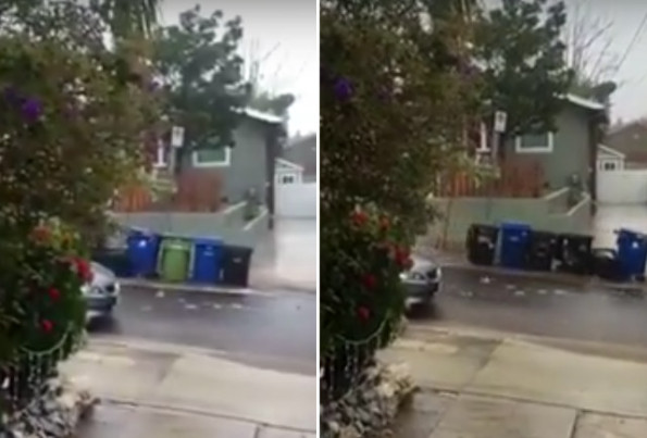 Here Are A Bunch Of Garbage Bins Rolling Down A Hill…