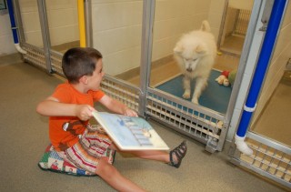 Kids Reading To Shelter Dogs Will Melt Your Cold Heart