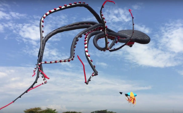 octopus kite amazon