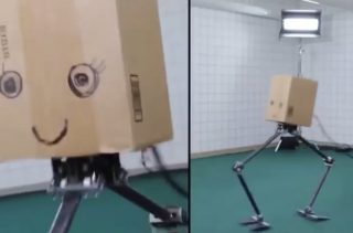 You Gotta See This Dancing Robot With A Cardboard Head