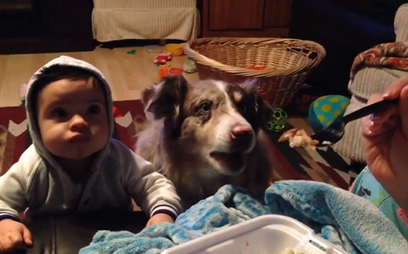 This Video Of A Dog Learning To Speak Is Inspiring AF