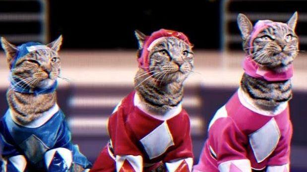 Wow, Check Out The Mighty Morphin Meower Rangers