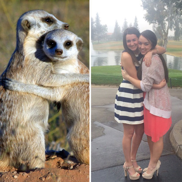 sorority girls pose like meerkats-2
