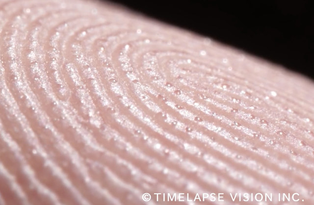 An Anxiety-Inducing Super Close Close-Up Of A Fingertip Sweating