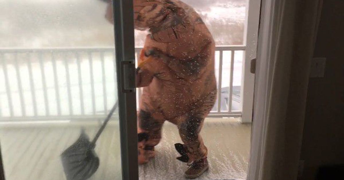 Watch This Lady In A T-Rex Suit Try To Shovel In A Blizzard