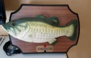 Someone Hacked Alexa With A Big Mouth Billy Bass