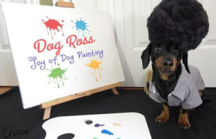 Watch Dog Ross Teach You The Joy of Dog Painting
