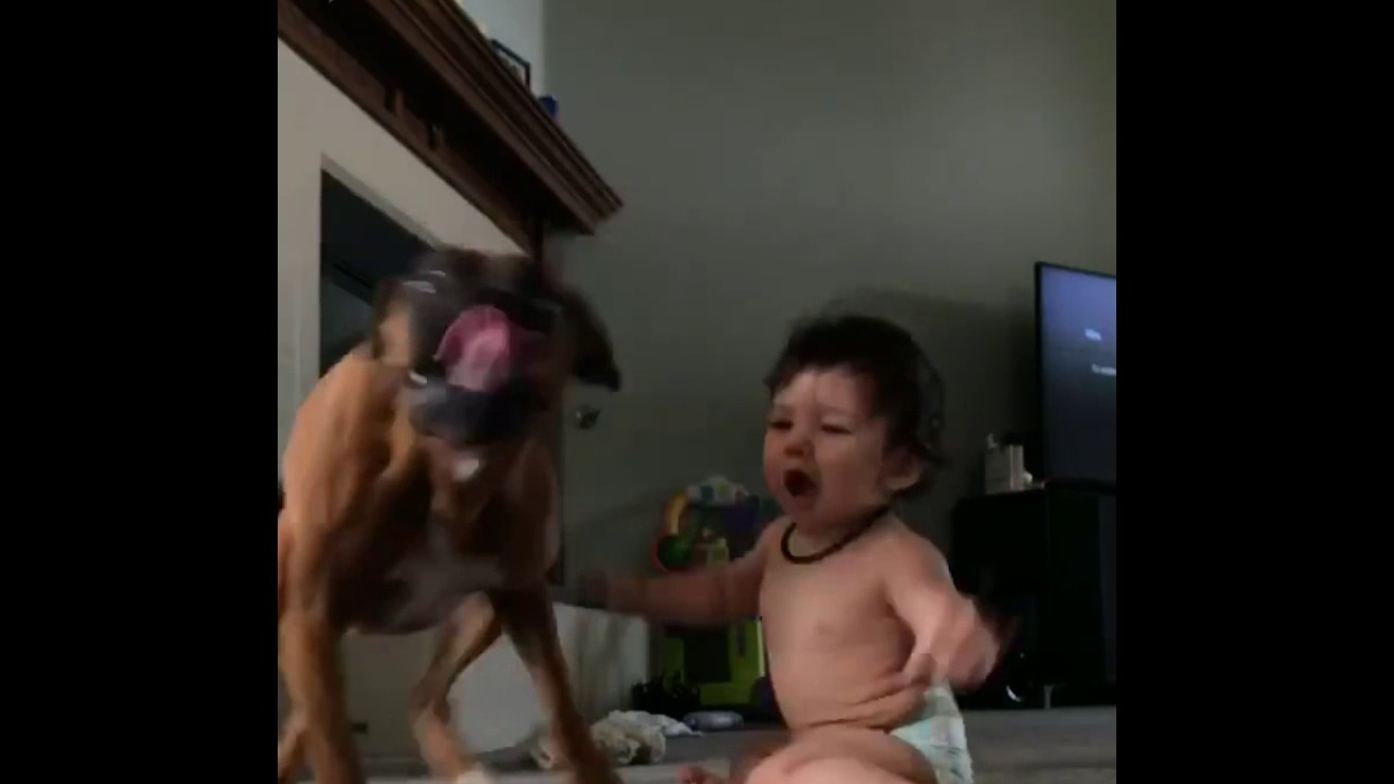 Watch This Adorable Baby And Her Dog Go Crazy Over Bubbles