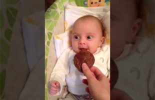 A Baby Smelling A Cookie For The First Time = Too Cute