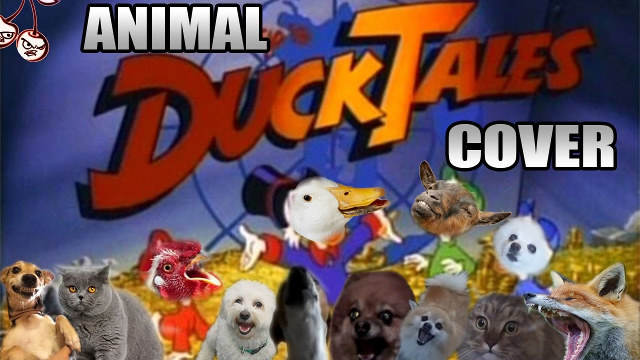 Auto-Tuned Animals “Sing” The DuckTales Theme Song