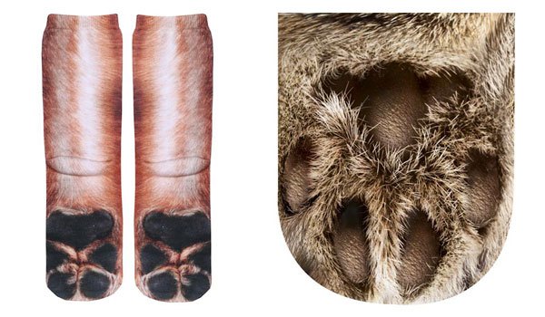 Animal Socks Make Your Feet Look Like Animal Paws