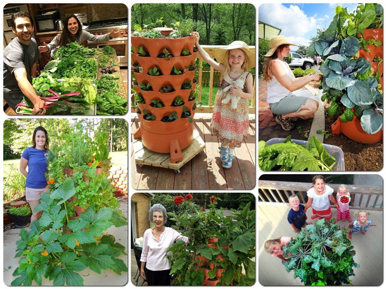 Garden Tower 2 An Organic Container Garden