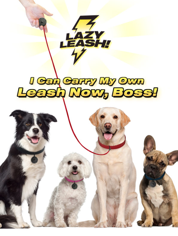 Lazy Leash