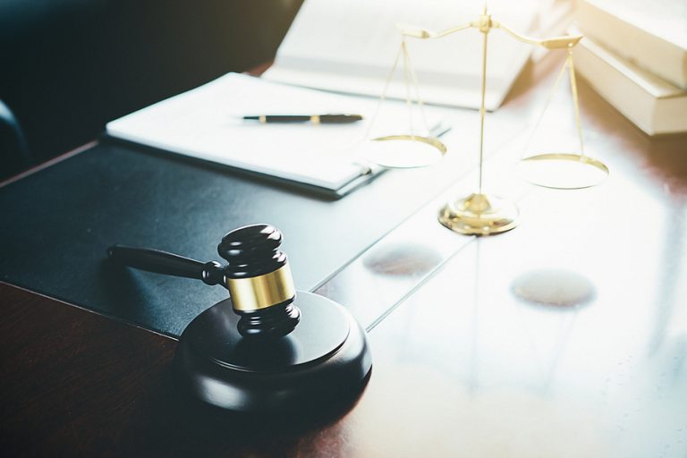 Damage Lawsuits in Seattle That Start With a Fallen Tree