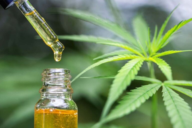 CBD oil in the UK: Understanding CBD and Terpenes