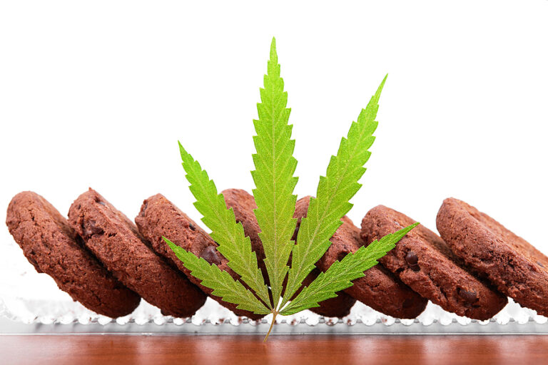 Cooking Cannabis CBD Cannabidiol with Hemp Herb. Cookies with cannabis leaf macro. Medical marijuana for use in food. Medicinal Edibles. Full Legalization in Uruguay and Canada