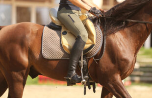 Must-Have Equestrian Essentials for Your Winter Riding Lessons