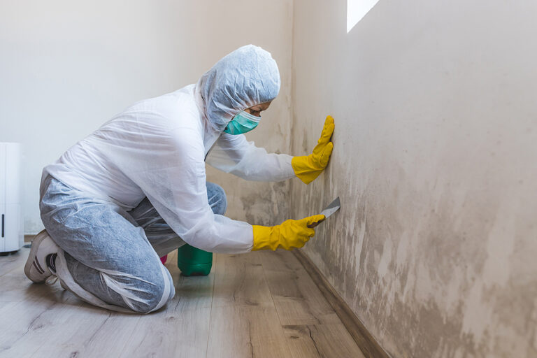 Got Mold? What’s next?