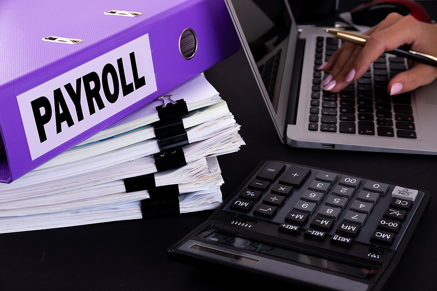 Options of Company Payroll Processing in UAE