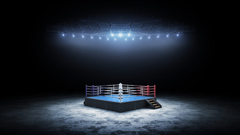 Why is Boxing So Popular, How Much Do Fighters Earn, and What Big Fights Are Coming Up?