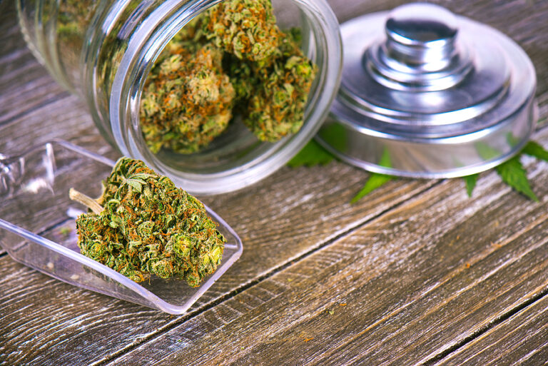 Detail of cannabis buds (scout master strain) on glass jar over wood background - medical marijuana dispensary concept