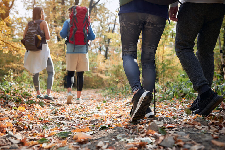 Hikers Guide to Birdwatching