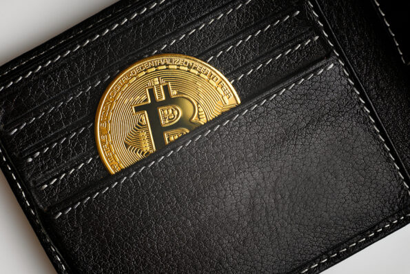 bitcoin Men's wallet with bitcoin, top view of black purse and gold bit coin (btc). Open leather pocket and one bitcoin. Concept of virtual money, crypto currency, digital wallet and online bitcoin payment.