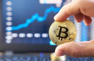 Everything You Want to Know Regarding Trading Bitcoin